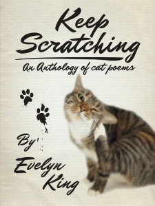 Keep_Scratching